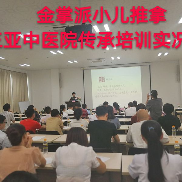 金掌派非遗技术三亚市中医院传承班